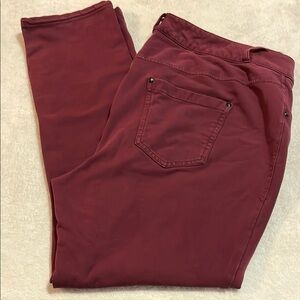 Lane Bryant Burgundy Jennings Pants